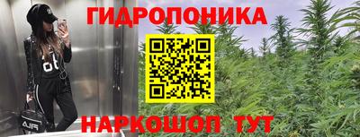 трава Бузулук