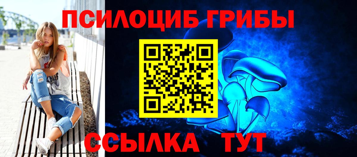 Псилоцибиновые грибы прущие грибы  Вход с VPN  Пугачёв  Псилоцибиновые грибы Cubensis 